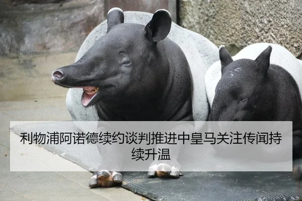利物浦阿诺德续约谈判推进中皇马关注传闻持续升温
